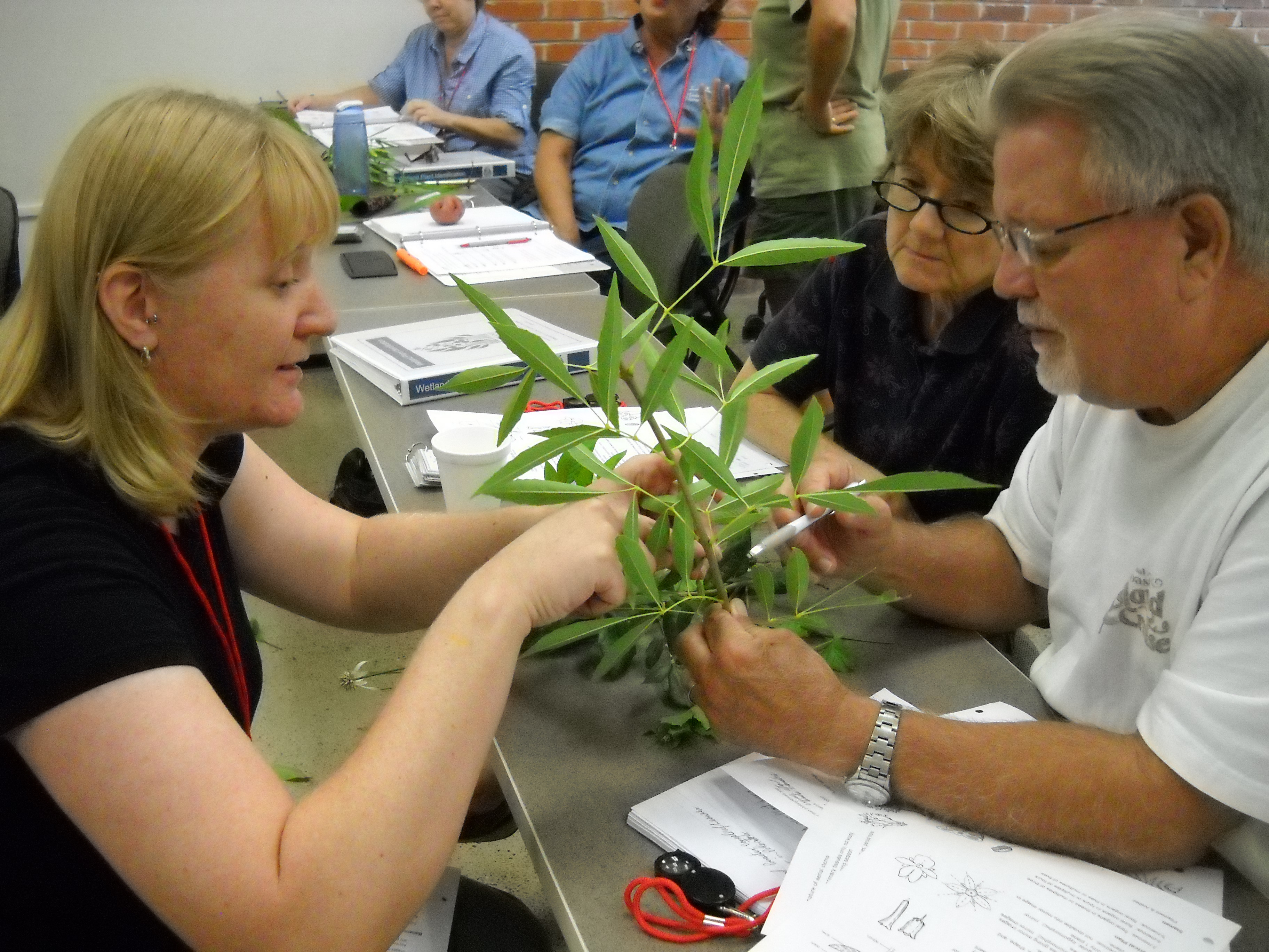 Charriss York teachs the Wetland Restoration Team plant botany at the Plant ID course