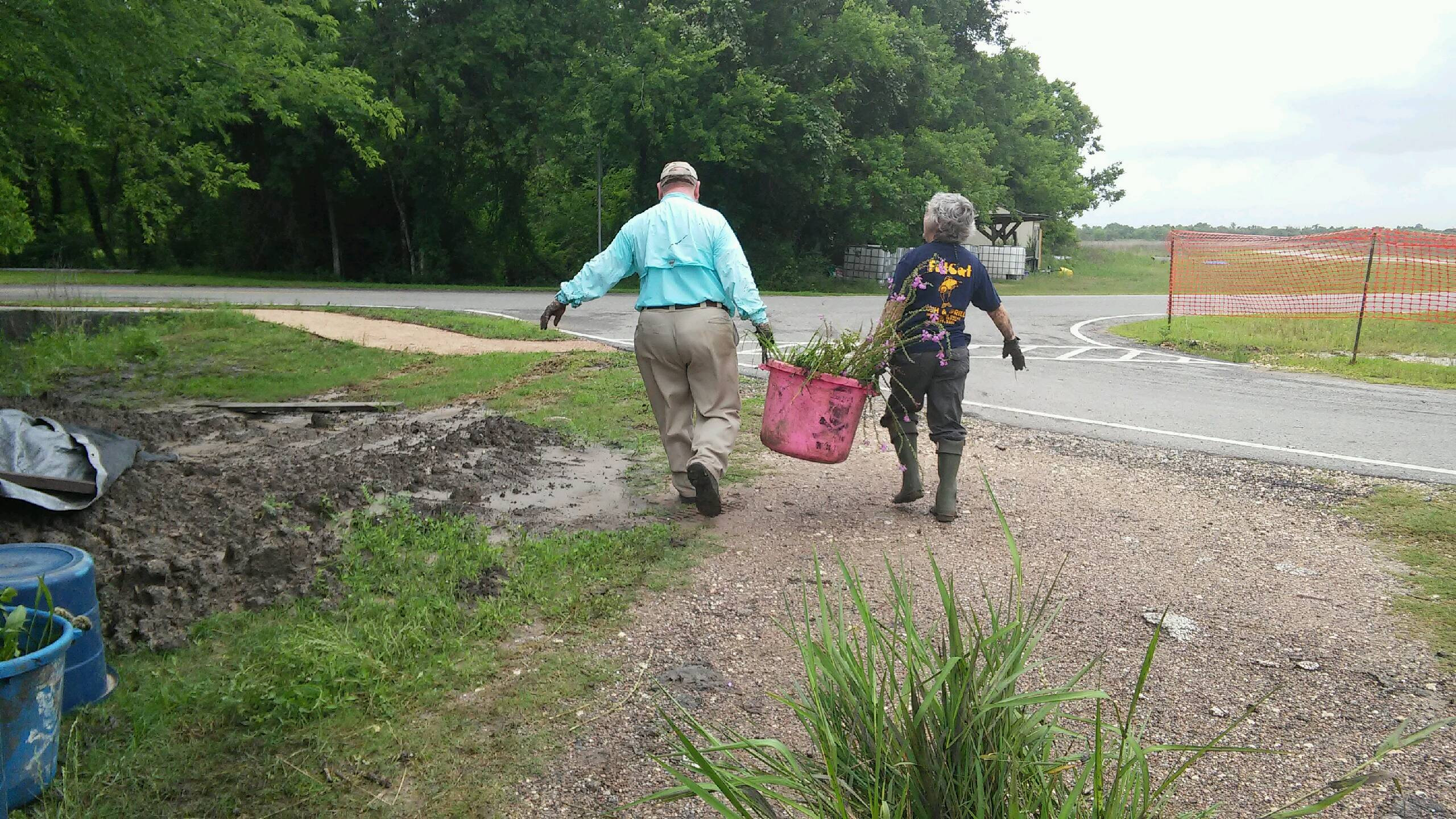 Two wetland reastoration team members carry a bucket of plants