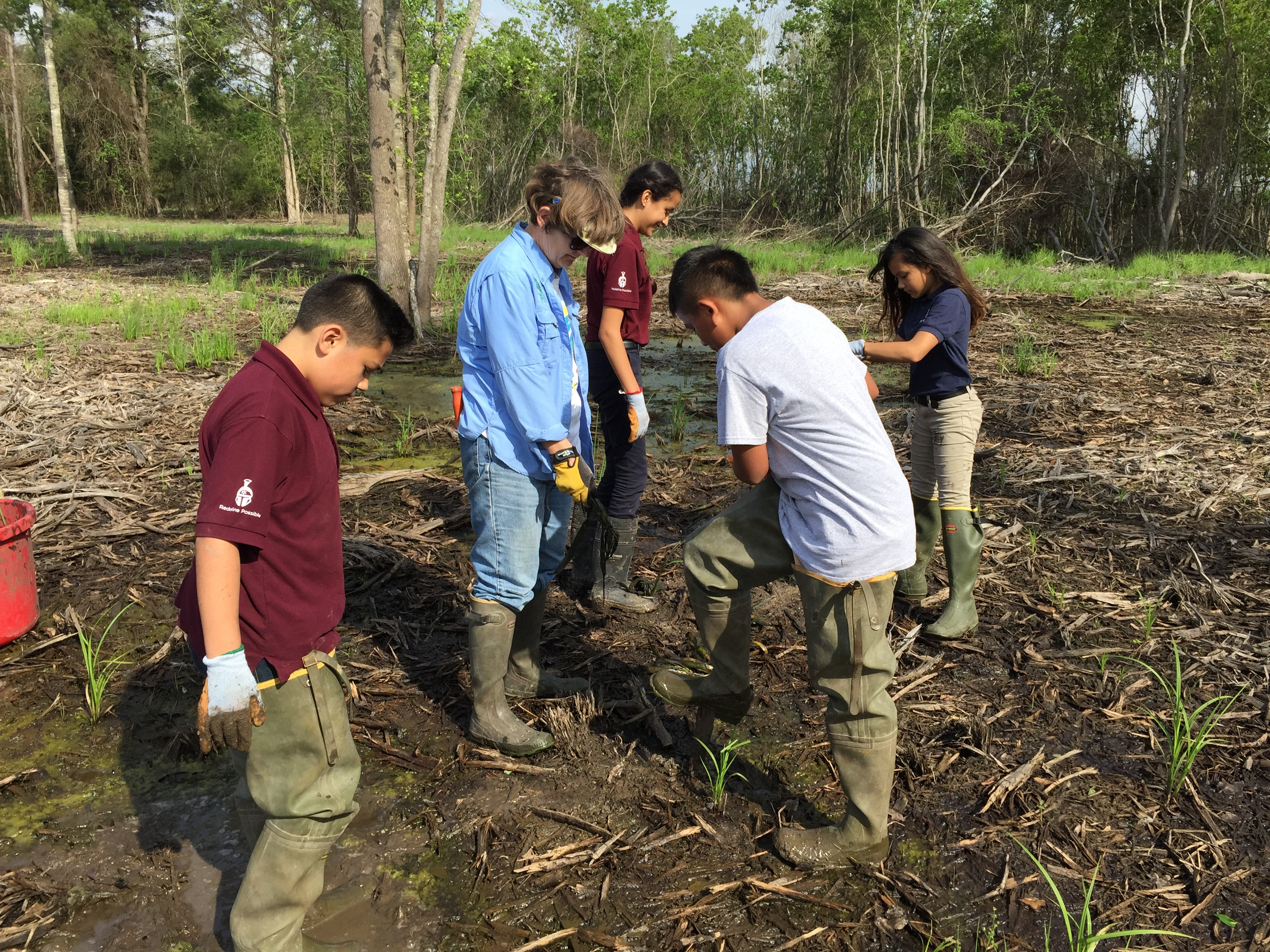 A Master Naturalist teaching student about planting sprigs