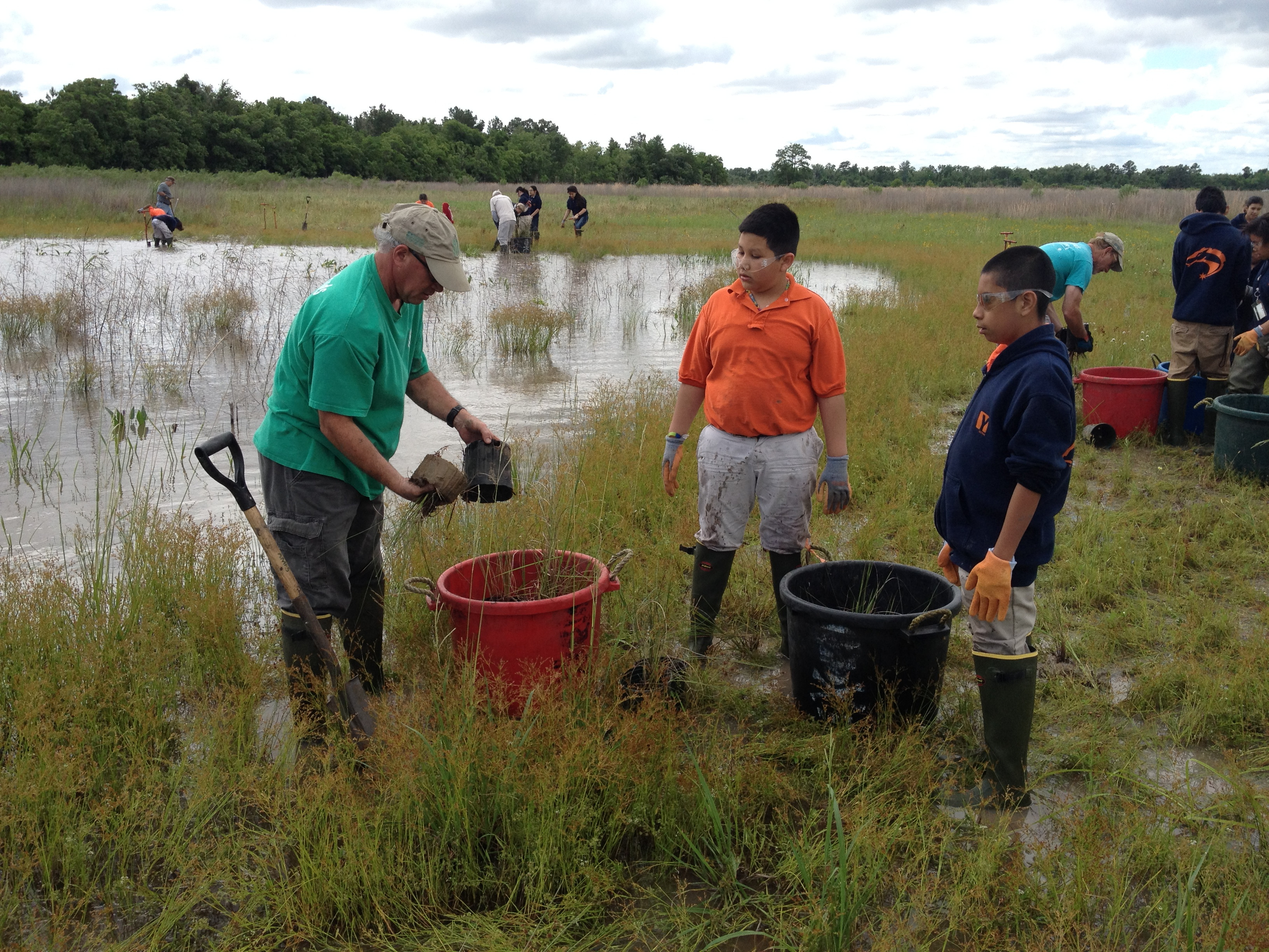 A Master Naturalist teaches students how to remove plants from pots