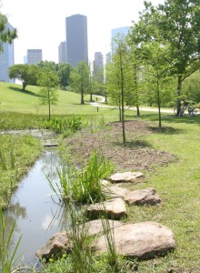 Houston skyline from a stream lined park