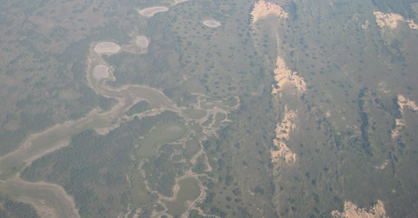 Lower Texas Coast Riparian Wetlands