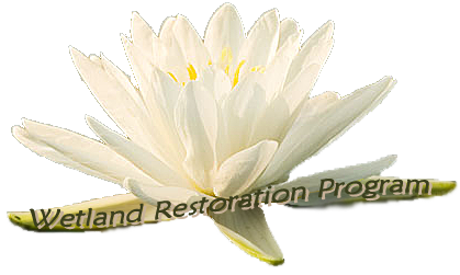 Logo for Wetland Restoration Program