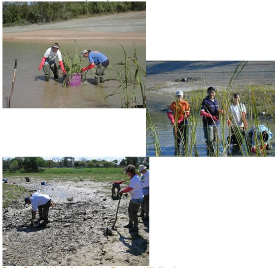 images of pond