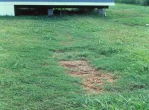 septic system failure
