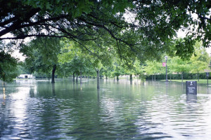 Street Flooding during Tropical Storm Allison