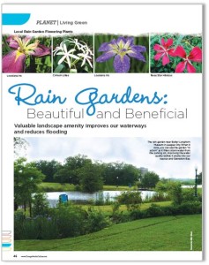 rain garden thumbnail