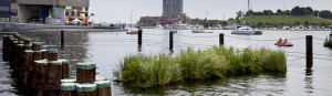 BaltimoreSun-floating-wetlands