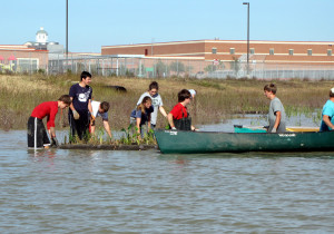 smFloating Wetlands-HBrown (40)