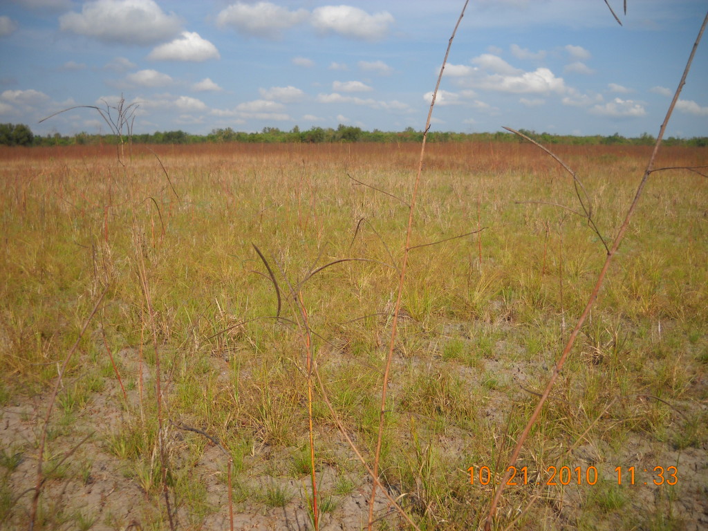 October 2010 Photo Point 17E (17B)