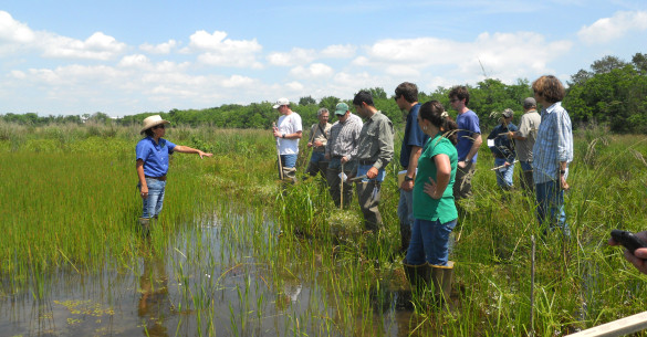 Wetland Restoration at Sheldon Lake State Park on Wetland Field Day