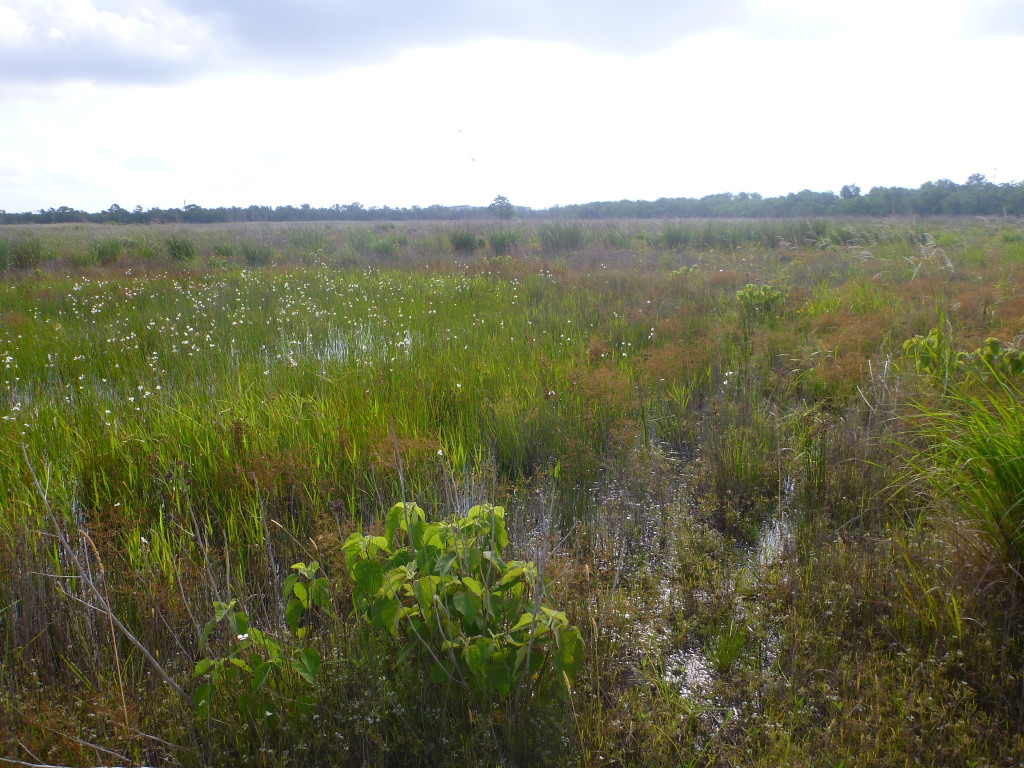 May 2014 Photo Point 6N (6B), the small pond