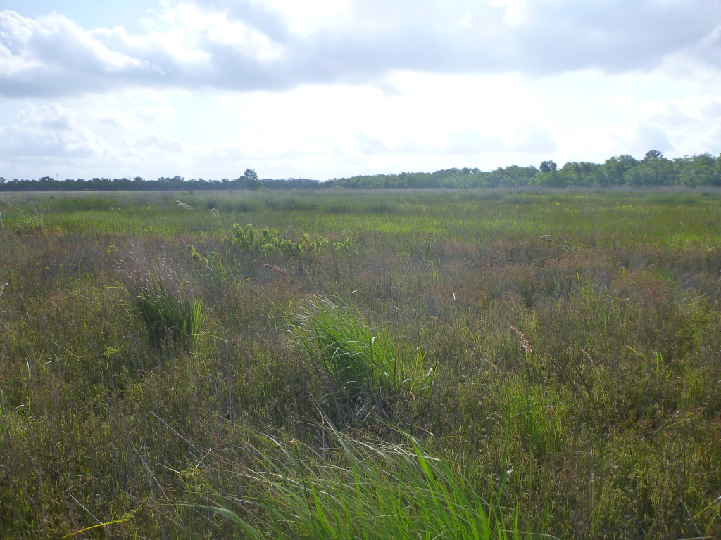 May 2014 Photo Point 6S (6C), the large pond