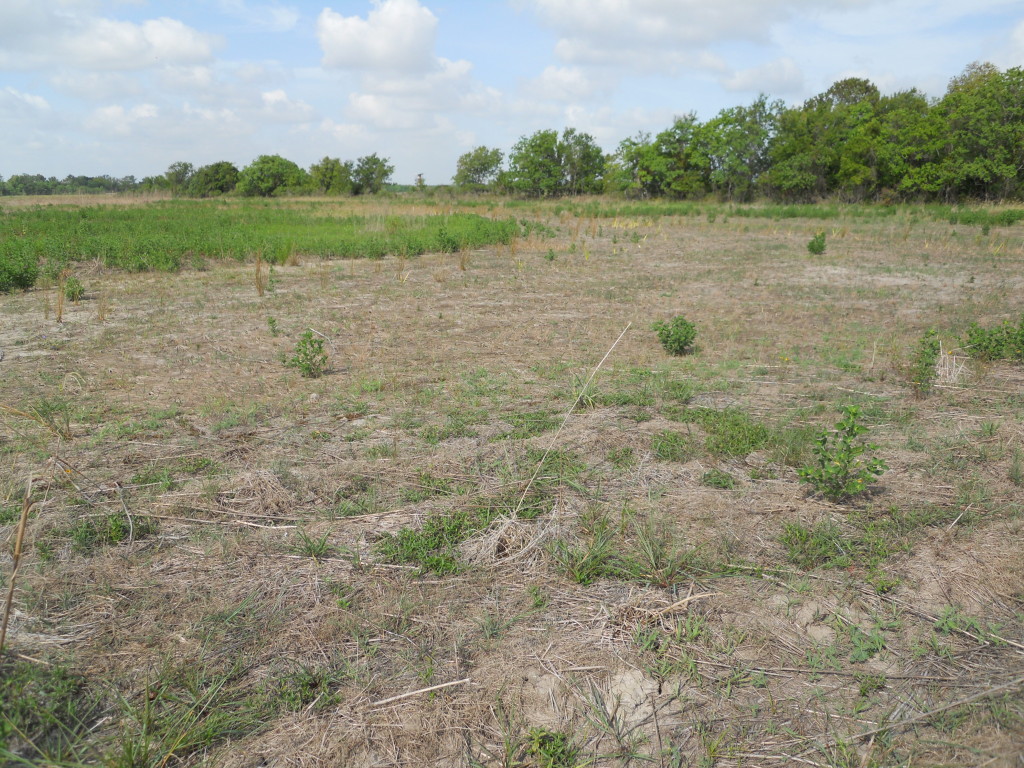 July 2011 Photo Point 9