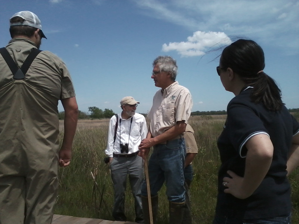 Learning about wetlands 2014