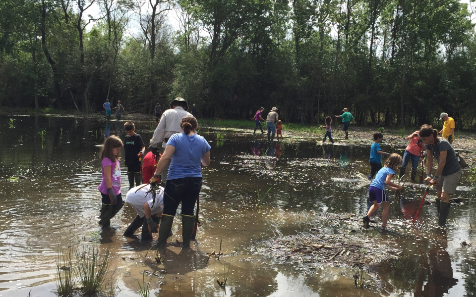 Families and the Wetland Restoration Team working in wetlands