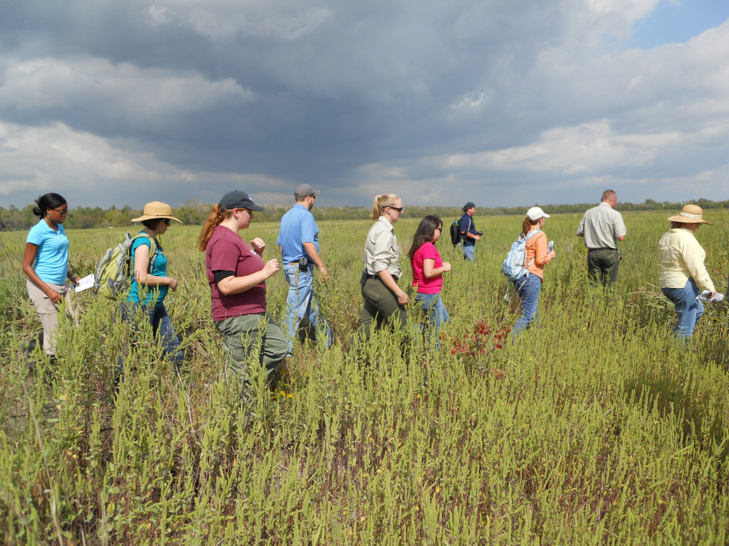 Touring Wetlands 2011