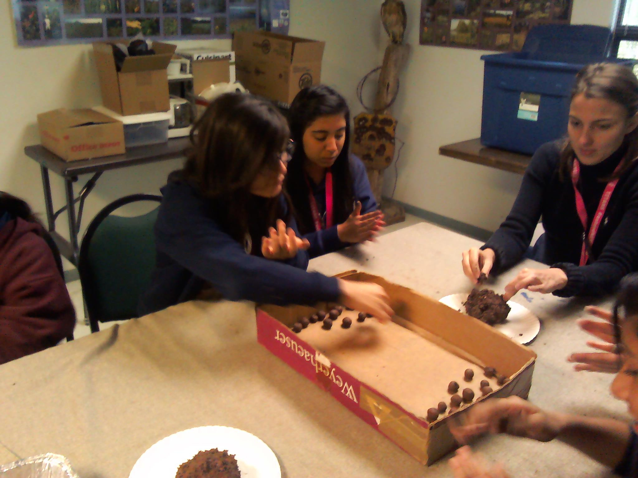 Students making seed balls