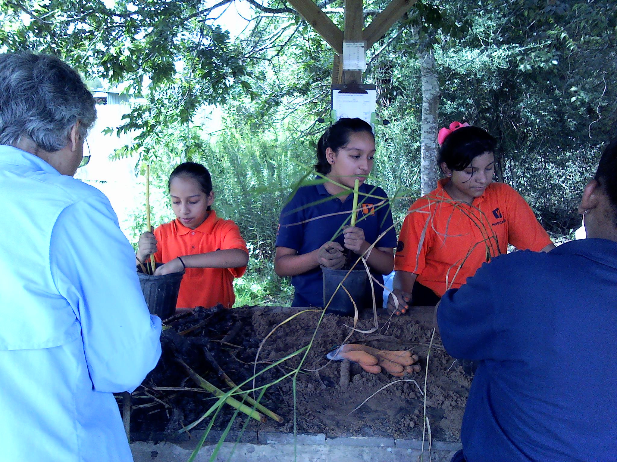 Three girls potting wetland plants