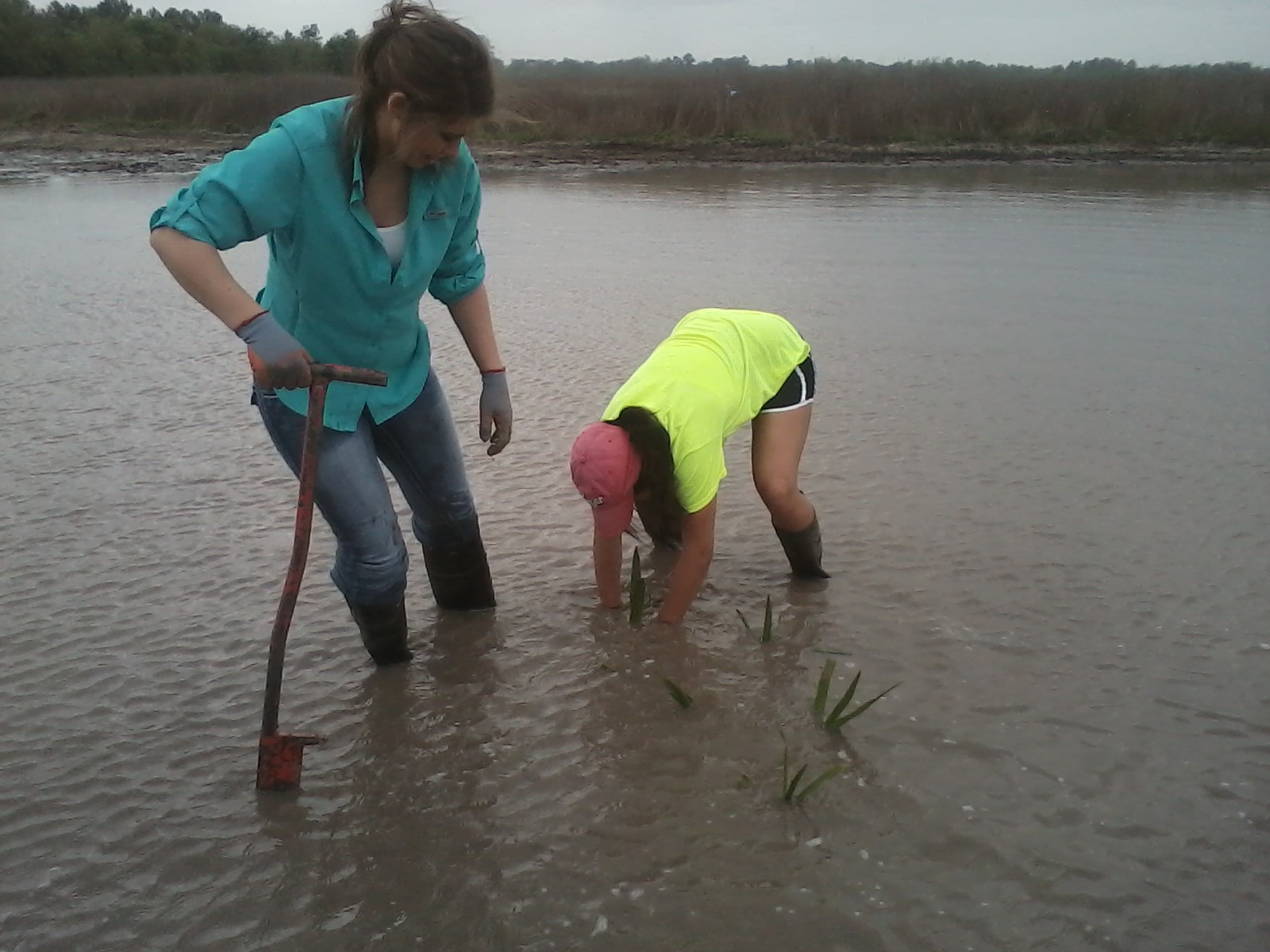 Two girls working to plant in a wetland pond