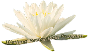 Logo for Wetland Restoration Program