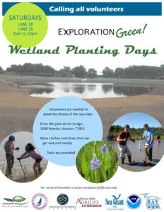 EG_JuneWetlandPlanting