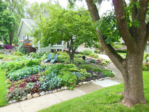 Front-Lawn-Vegetable-Garden-August-2012-2