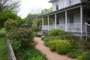 Armand Bayou Nature Center (2)