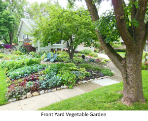 Vegetable Garden