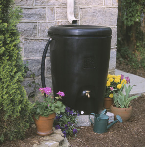 rainbarrel[1]