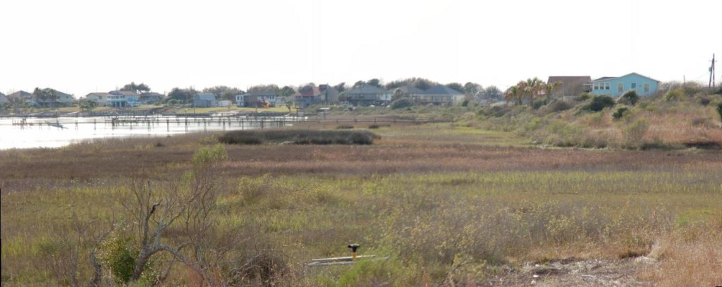 Carancahua tidal wetlands