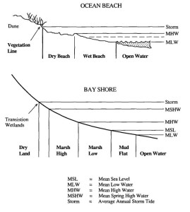 Tidal zonation on ocean beach and bay shore