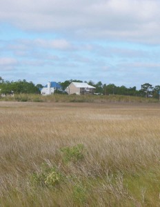 Wetland with houses in the background